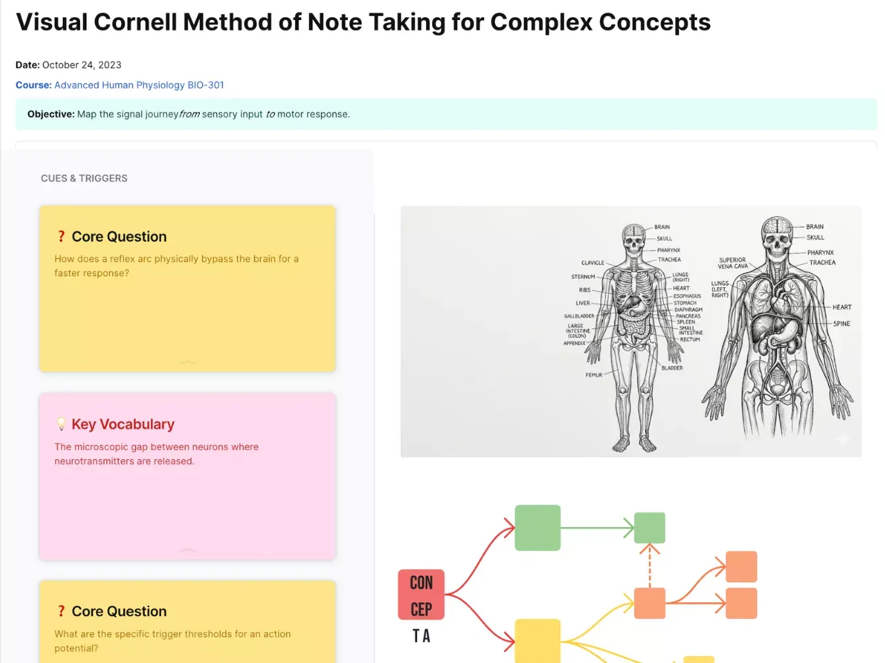 Professional Visual Cornell Method template on AFFiNE white-board, showing Cue, Note, and Summary sections with mind-mapping elements.